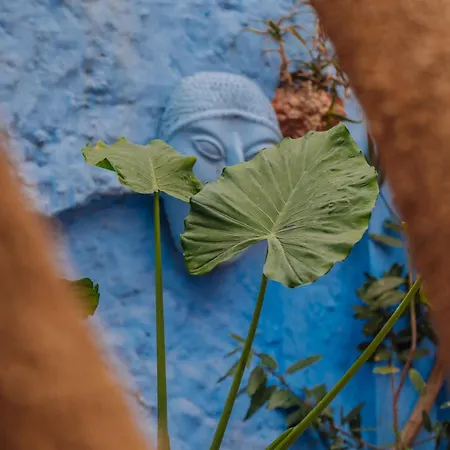 Mayelia Cozy House In The Medieval Town Prázdninový dům