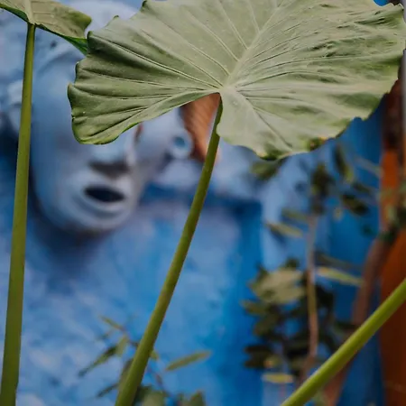 Mayelia Cozy House In The Medieval Town Rhodes City