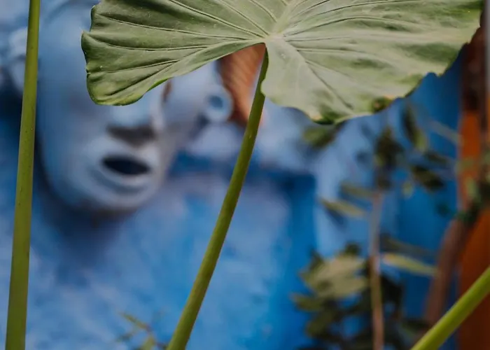 Mayelia Cozy House In The Medieval Town Rhodes City