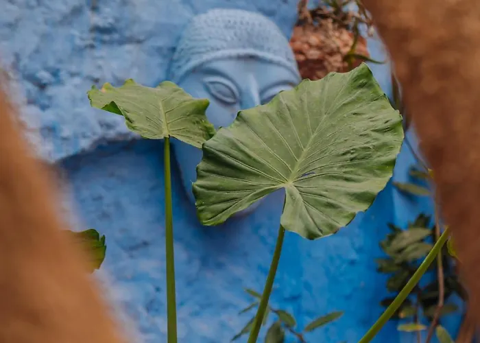 Mayelia Cozy House In The Medieval Town Holiday home